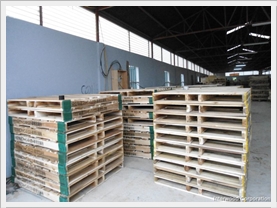 Thanh lý pallet xuất Nhật