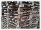 Hoàn thành 600 pallet thò đầu trong vòng 7 ngày