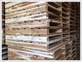 Pallet 2 mặt 2 chiều nâng Pallet 2 mặt 2 chiều nâng