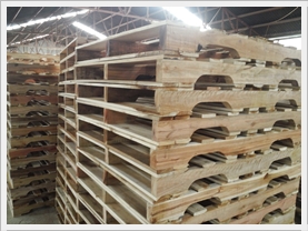 Pallet gỗ giá rẻ loại khoét chân Pallet gỗ giá rẻ loại khoét chân