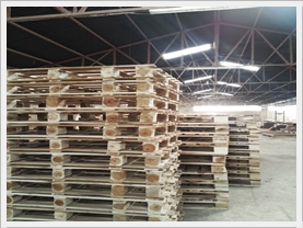 Pallet gỗ keo Pallet gỗ keo