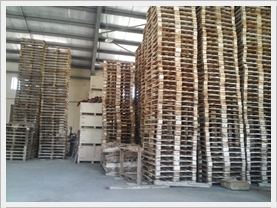 Pallet cho thuê Pallet cho thuê