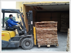 Sấy gỗ Sấy gỗ